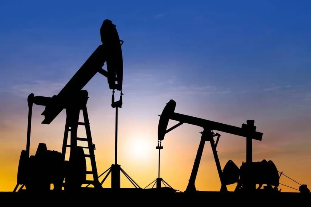 Mineral Lease