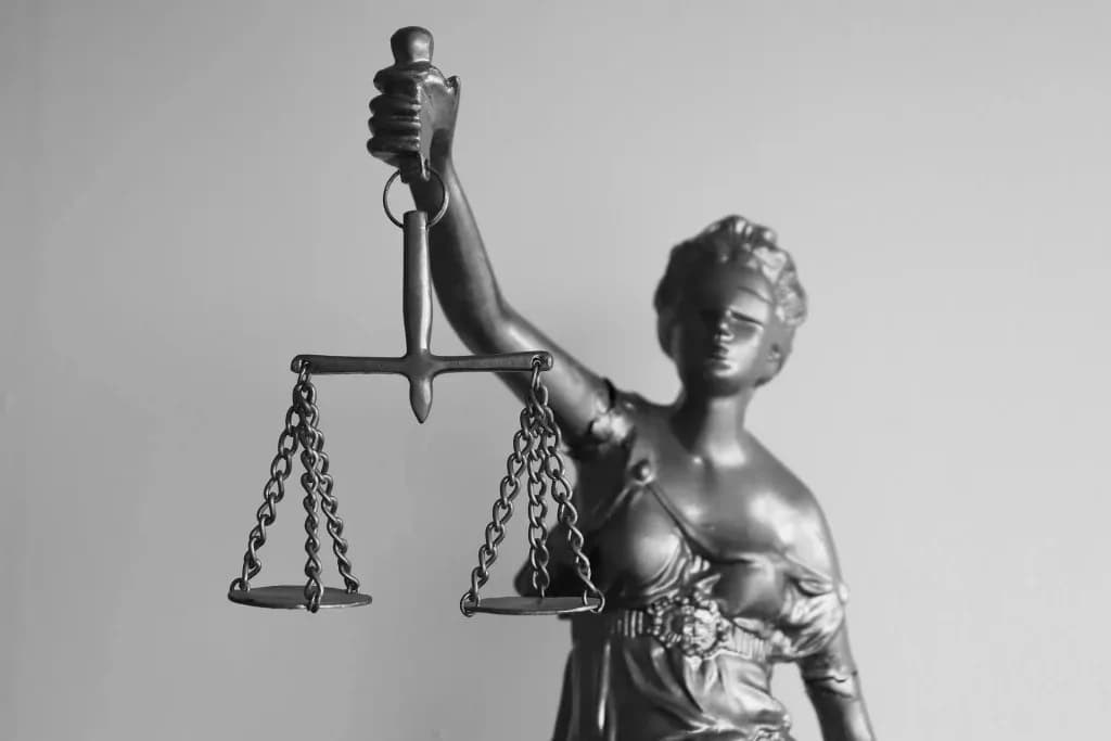 What are the rights of a patentee?