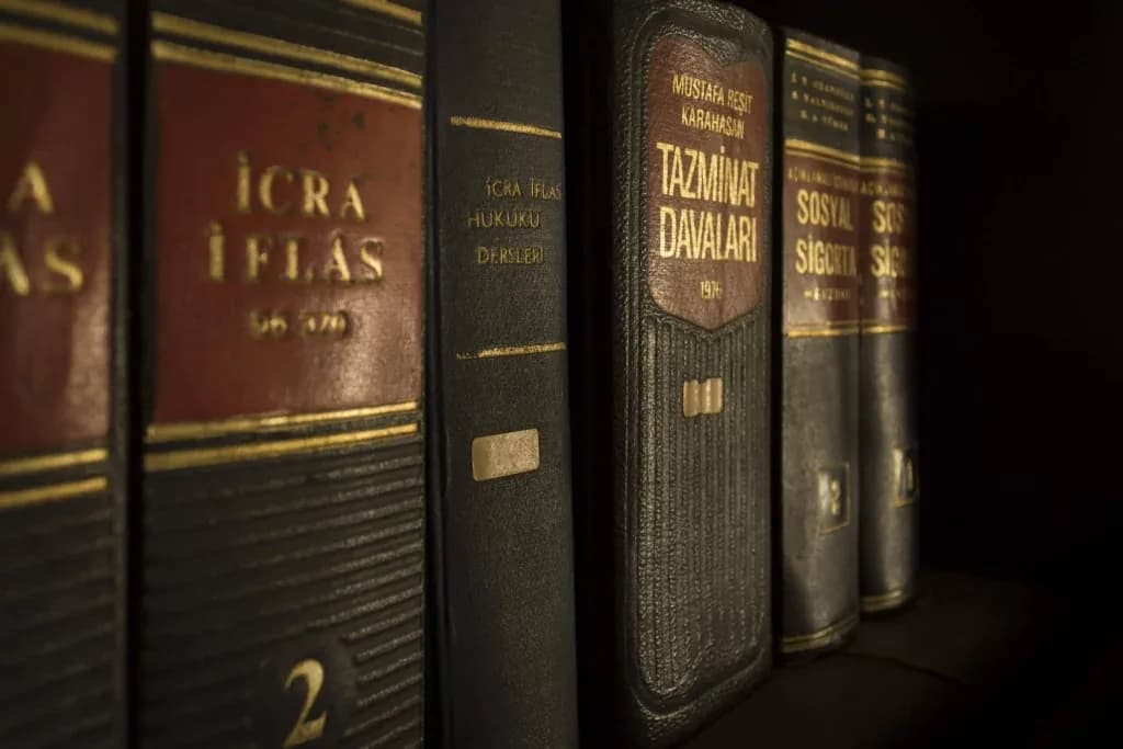 Louisiana Child Custody Laws